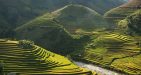 Ifugao-Rice-Terraces,-Philippines