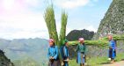 Ha-giang-vietnam1