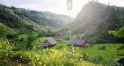 Muong-Hoa-Valley-sapa-1