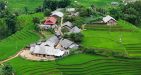 Muong-Hoa-Valley-sapa-2