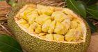 Jackfruit