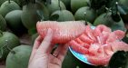 Pomelo-