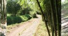 Vinh-Moc-Tunnels-quang-tri-4