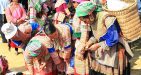 vietnam-bacha-3